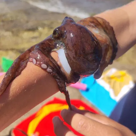 דירה Dipinto Sul Mare מולה די בארי